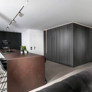 Erez Hyatt works Penthouse in Ramat Hasharon