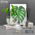 decorative set 02 - Thumbnail 1