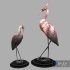 Stork Black - Thumbnail 5