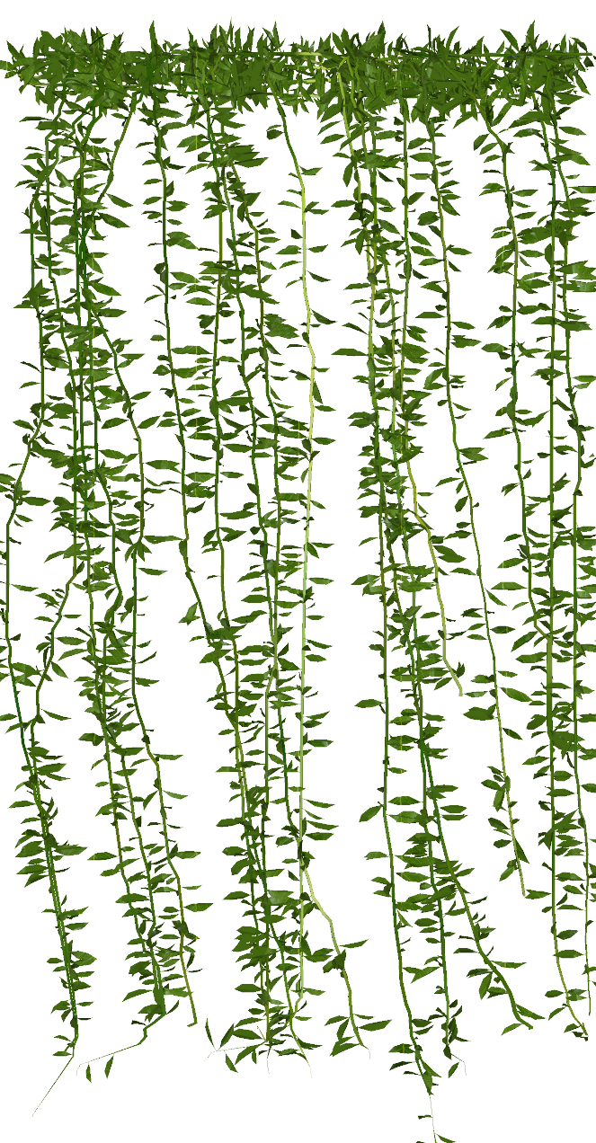 Vernonia Elliptica 3d model 3ds max download free