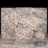 Bianco Persia Marble - Thumbnail 2