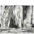 Arabescato Marble 05 - Thumbnail 1