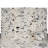 Breccia Glossy Marble - Thumbnail 2