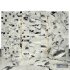 Calacatta Dark Marble 01 - Thumbnail 2