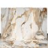Paonazzo Gold Marble 02 - Thumbnail 1