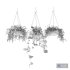 Hanging Plants - Thumbnail 2