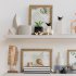 decorative_shelf - Thumbnail 2
