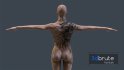Female Zombie – Game Ready - Thumbnail 9