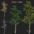 fourseasons_trees01 - Thumbnail 1