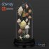 Seashell decorative - Thumbnail 1