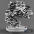 Bonsai japanese maple decorative tree - Thumbnail 4