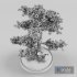 Sakura bonsai tree - Thumbnail 8