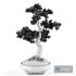 Bonsai Pinus Sylvestris Tree 02 - Thumbnail 7