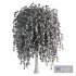 Weeping Willow Tree - Thumbnail 2