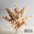 pampass decor - Thumbnail 3