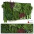 Vertical Garden 02 - Thumbnail 1