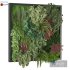 Vertical Garden 04 - Thumbnail 1
