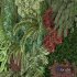 Vertical Garden 04 - Thumbnail 2