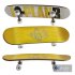 skate board 1 - Thumbnail 1