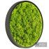 Moss Wall 01 - Thumbnail 4