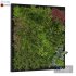 Vertical Garden 06 - Thumbnail 1
