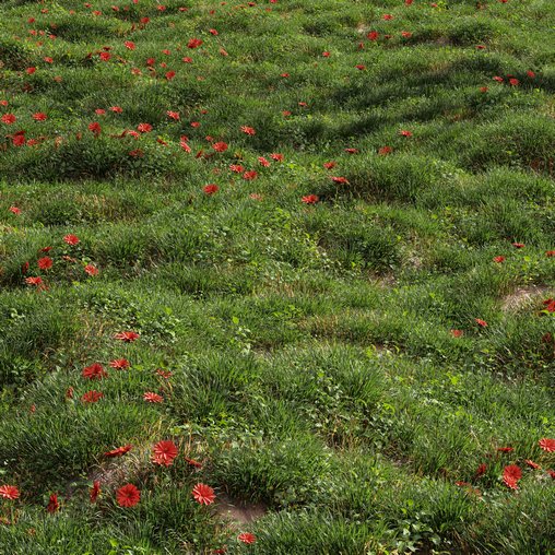 Meadow Lawn Grassland Set 009