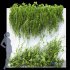 Wall Artificial Hanging Plants-01 - Thumbnail 1