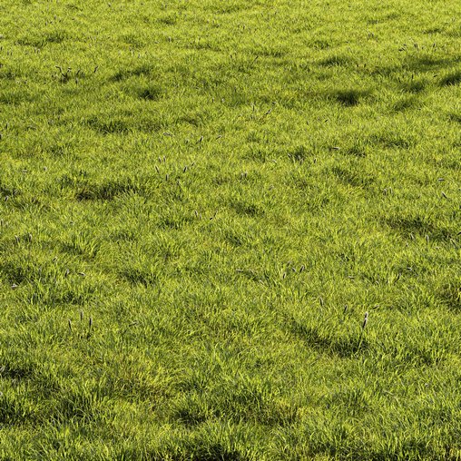Meadow Lawn Grassland Set 010