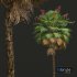 New Plant High detail Acoelorrhaphe Wrightii Fruit Tree - Thumbnail 2