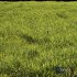Meadow Lawn Grassland Set 010 - Thumbnail 2