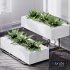 Showcase Office Plants Execuflora Air Purifying - Thumbnail 3