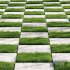 Decorative Floor Grass 02 - Thumbnail 2