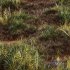 Meadow Lawn Grassland Set 003 - Thumbnail 3