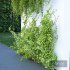 Wall Artificial Hanging Plants-01 - Thumbnail 2