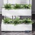Showcase Office Plants Execuflora Air Purifying - Thumbnail 4