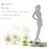 Grass-Dry-Set01 - Thumbnail 4