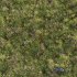 Meadow Lawn Grassland Set 001 - Thumbnail 4
