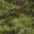Meadow Lawn Grassland Set 002 - Thumbnail 2