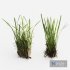 Decorative Floor Grass 02 - Thumbnail 5