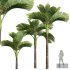 New Plant High detail Areca Catechu Decorative Garden - Thumbnail 1