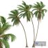 New Plant High detail Cocos Nucifera Windy - Thumbnail 1