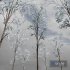 Winter Snow Tree001 - Thumbnail 2