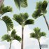 New Plant High detail Areca Catechu Decorative Garden - Thumbnail 2