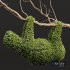 New Plant Ficus Concinna Bonsai Pruned Koala ThreeToedSloth - Thumbnail 2