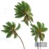 New Plant High detail Cocos Nucifera Windy - Thumbnail 2
