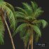 New Plant High detail Cocos Nucifera Windy - Thumbnail 3