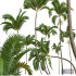 New Plant High detail Areca Catechu - Thumbnail 5