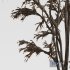 Winter Snow Tree001 - Thumbnail 4