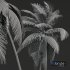 New Plant High detail Cocos Nucifera Windy - Thumbnail 4