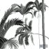 New Plant High detail Areca Catechu - Thumbnail 4